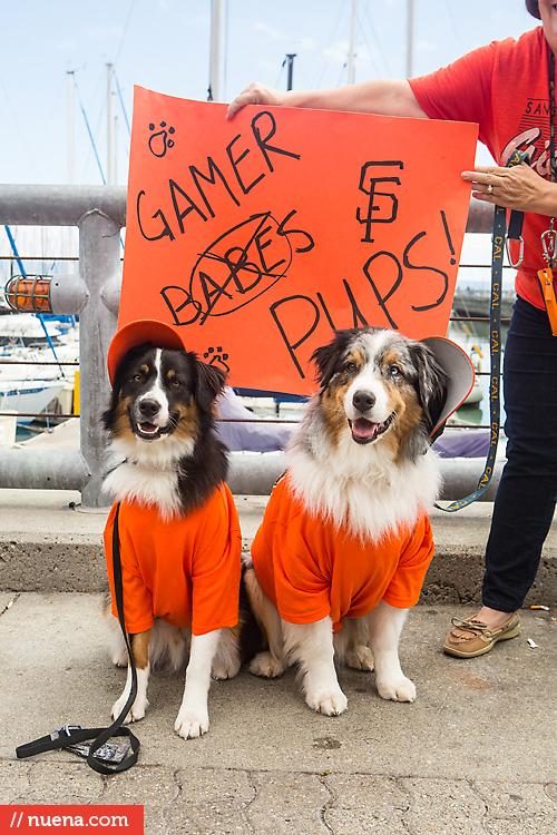 San Francisco Giants Dog Day 2013 | Kira Stackhouse Photographer