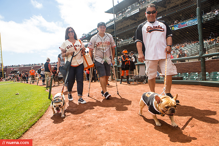 San Francisco Giants Dog Day 2013 | Kira Stackhouse Photographer