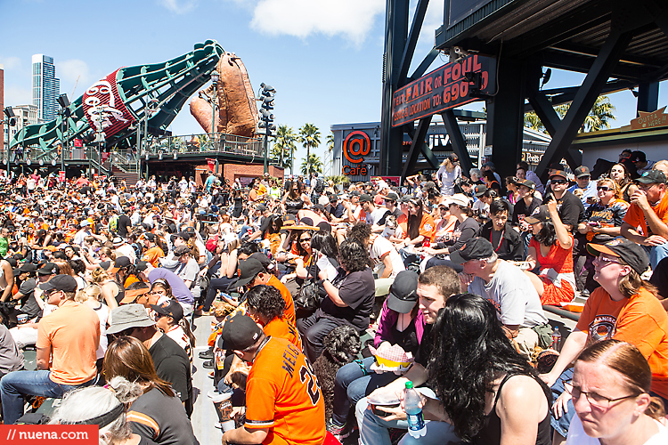 San Francisco Giants Dog Day 2013 | Kira Stackhouse Photographer