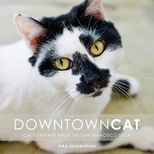 cat photo book