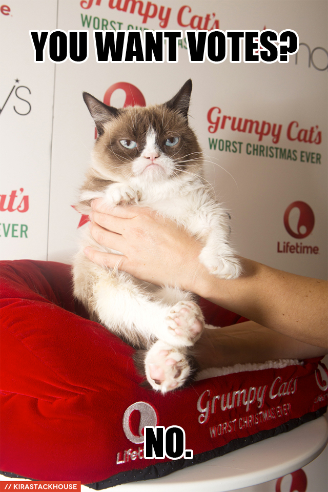 grumpy cat no