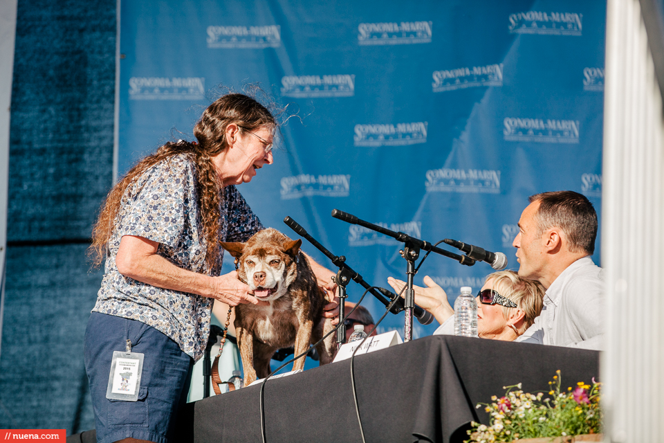 world's ugliest dog contest