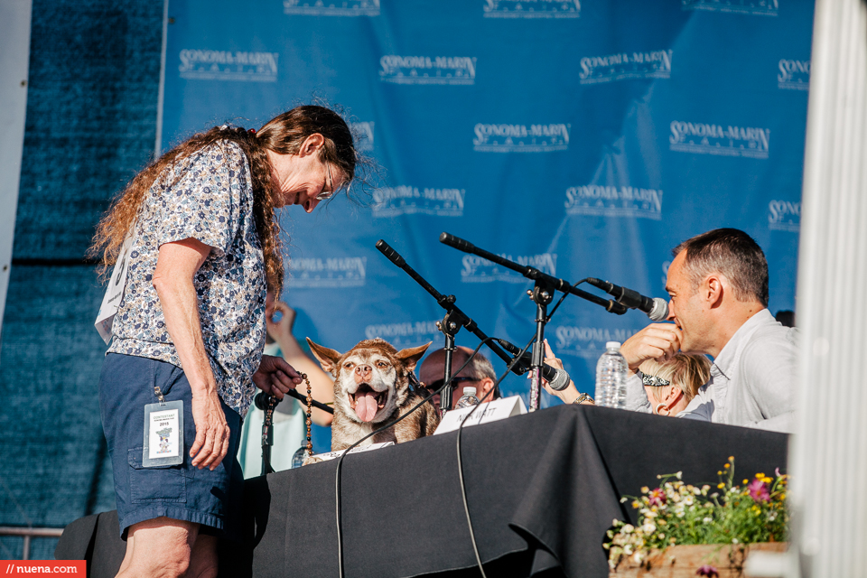 world's ugliest dog