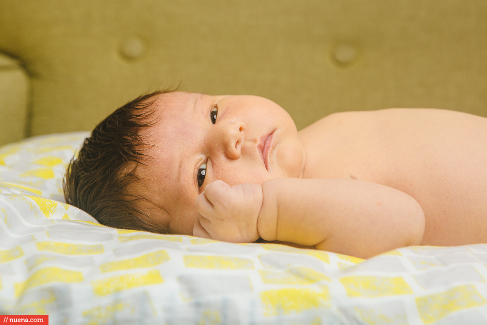 newborn photography san francisco