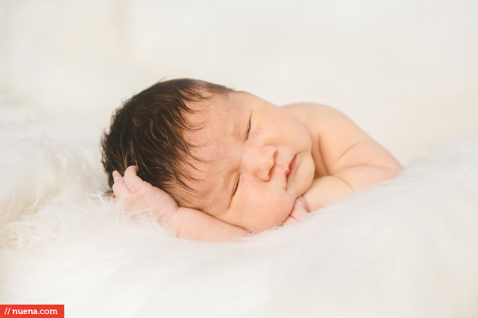 newborn photographer san francisco