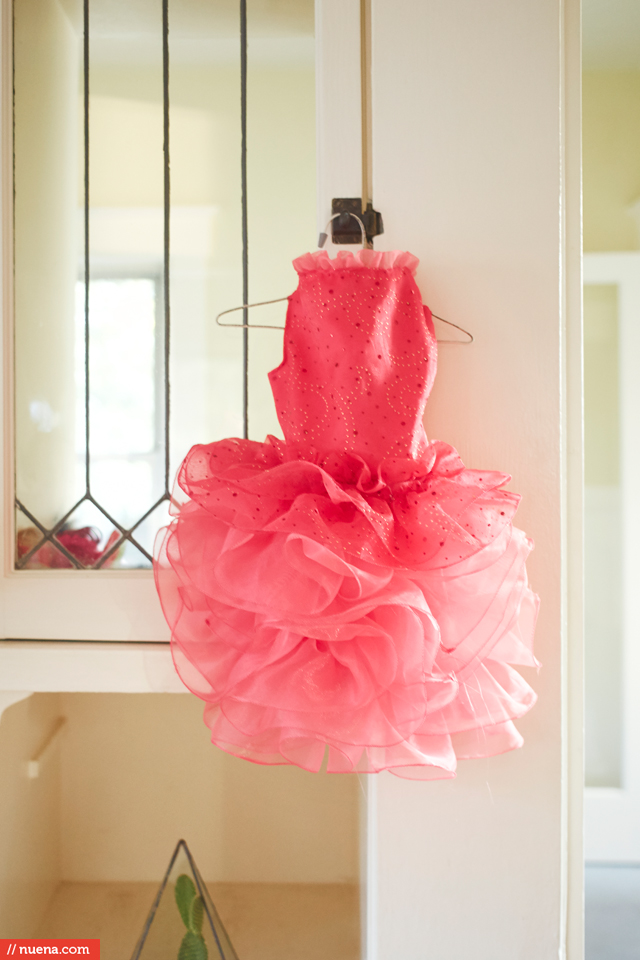 cat quinceanera dress