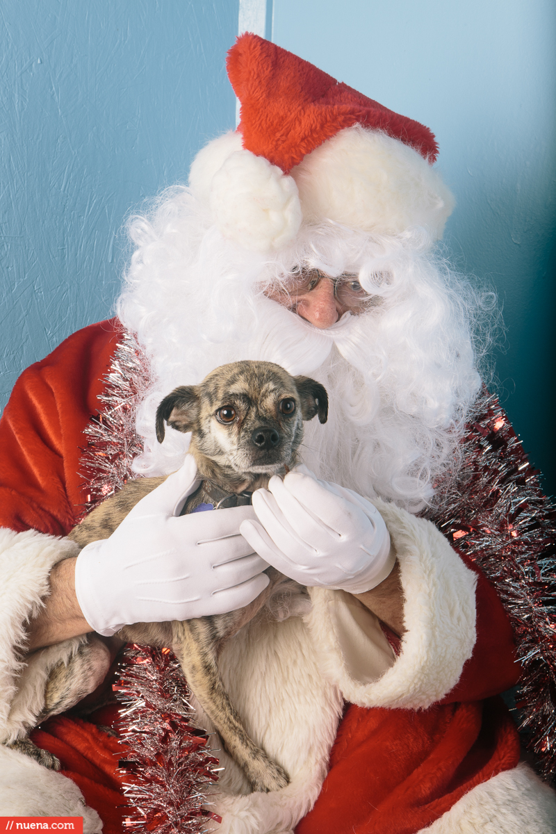 santa with dog