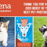 Bay Woof Beast of the Bay Awards - Nuena Photography Best Pet Photographer
